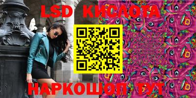 spice Гатчина