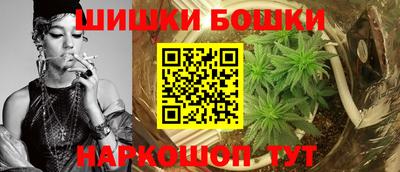 spice Гатчина