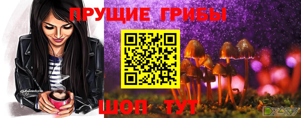 Балтийск  Галлюциногенные грибы ЛСД  Вход с VPN  Псилоцибиновые грибы MAGIC MUSHROOMS 